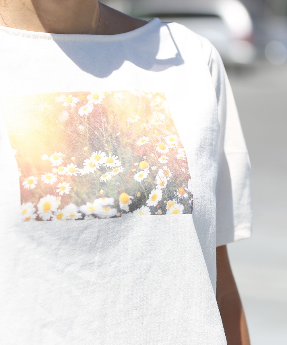 DAISY ECO GRAPHIC CROP